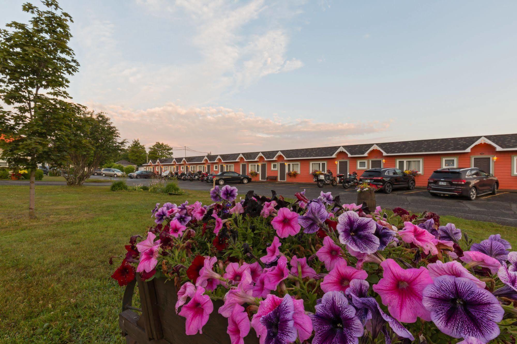 Motel Au Fleuve D'Argent Rivière-du-Loup Dış mekan fotoğraf